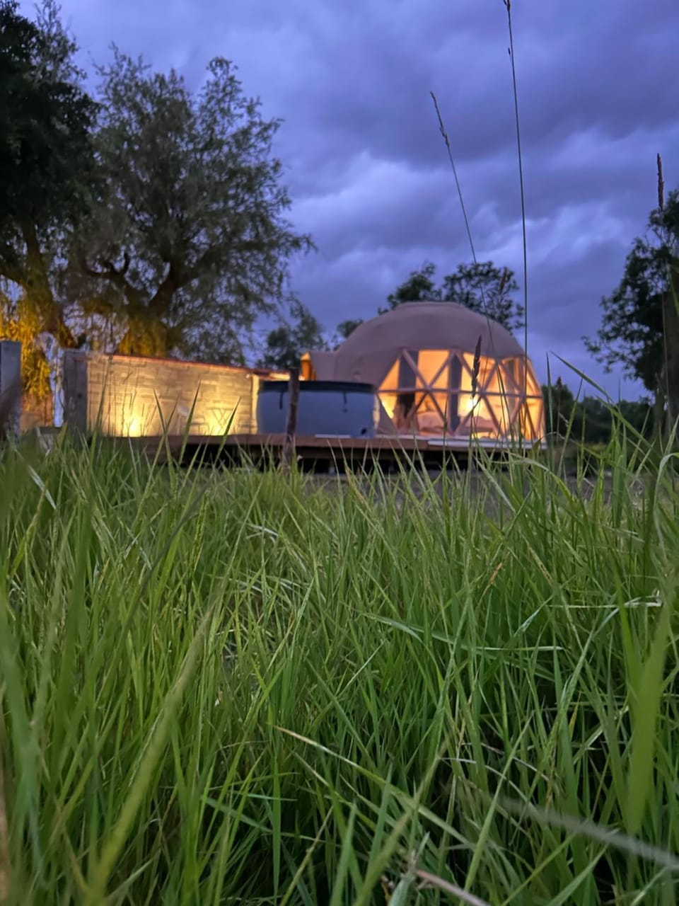 Night, Natural landscape, Garden view
