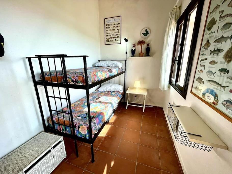 bunk bed