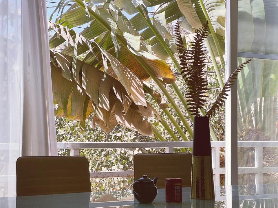 Garden view