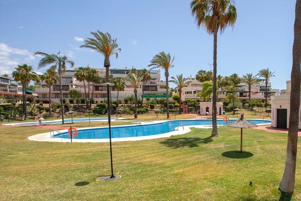 Day, Garden, Swimming pool