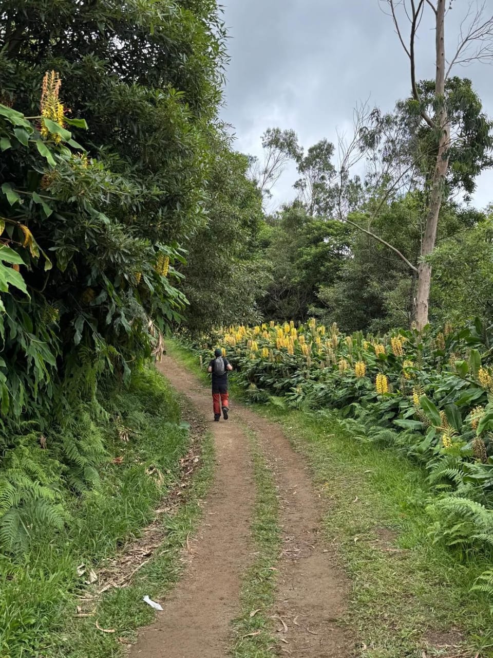 Casa Rural & Parrillada Miguel Vacation rental in Galicia