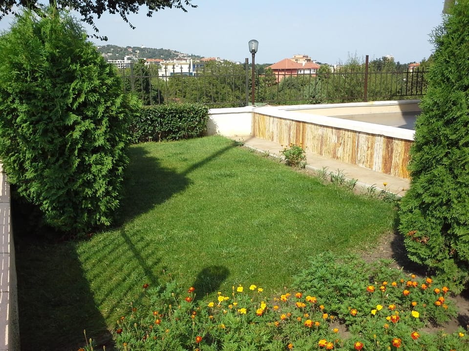 Area and facilities