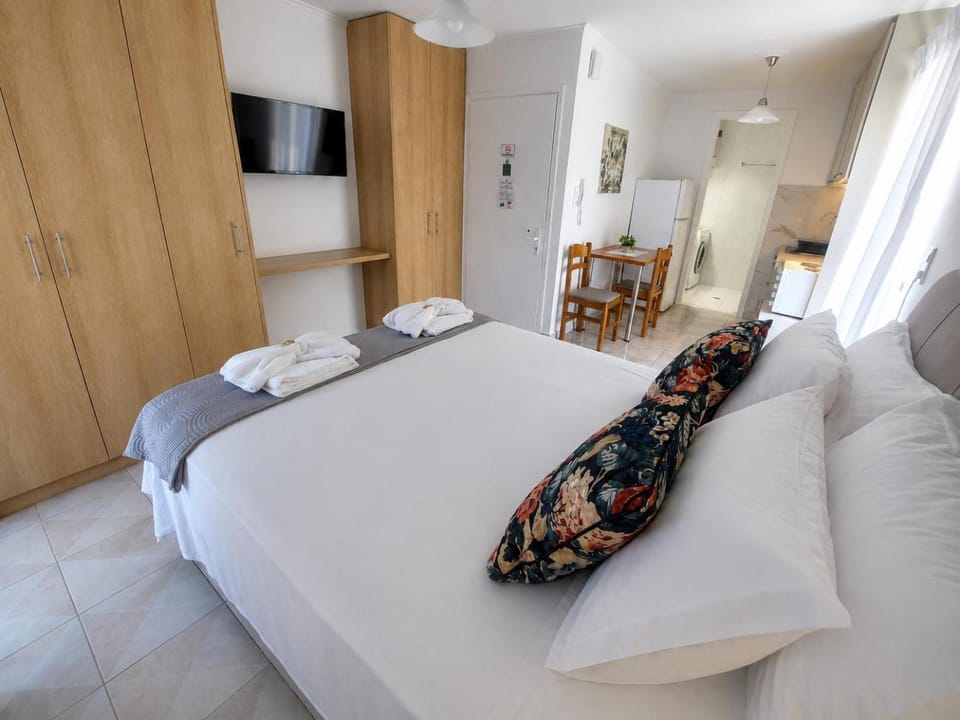 Eleni's Apartments Igoumenitsa - Γκαρσονιέρα στο ισόγειο επιπλωμένη, εξοπλισμένη Apartment in Greece