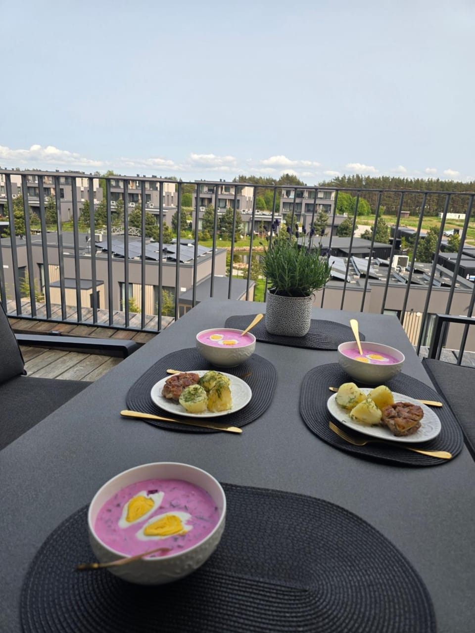 Pajūrio Svajonėms Apartment in Palanga