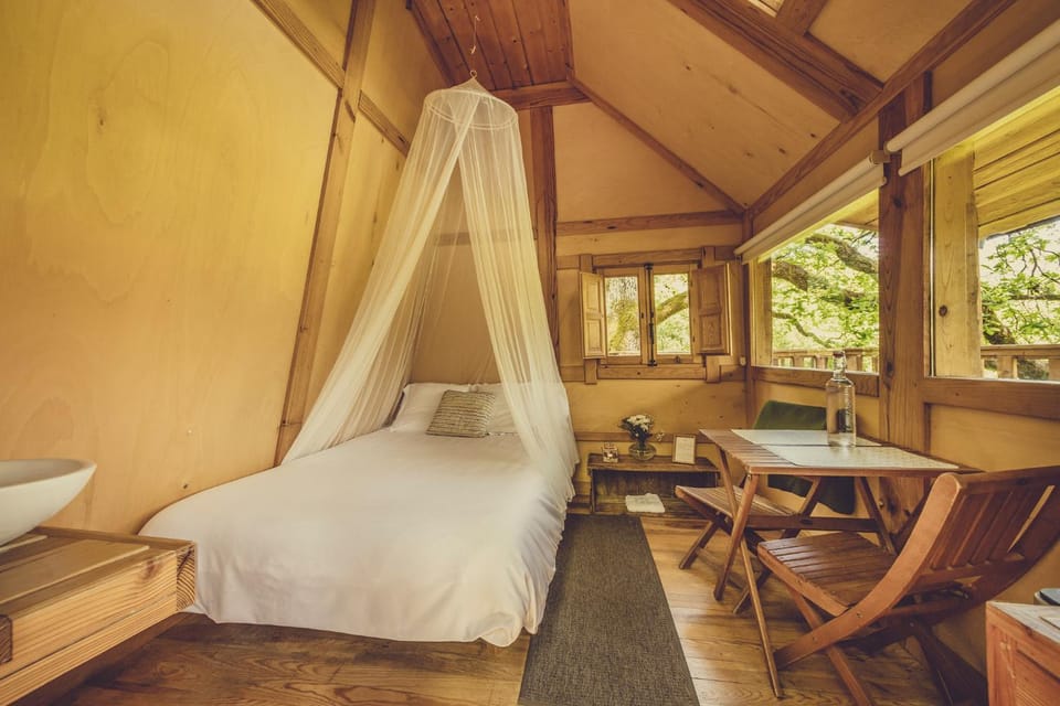 Okolin Basoa Suites cabañas en los árboles House in Navarre