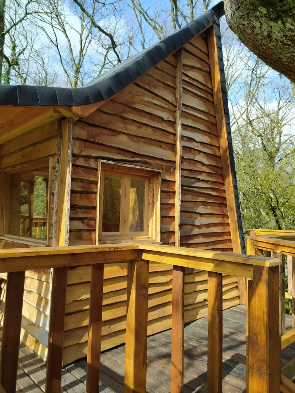 Okolin Basoa Suites cabañas en los árboles House in Navarre