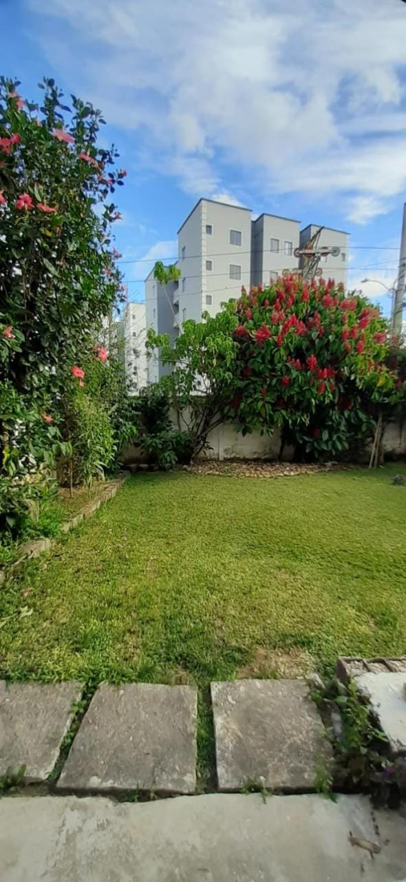 Natural landscape, Garden, Garden view