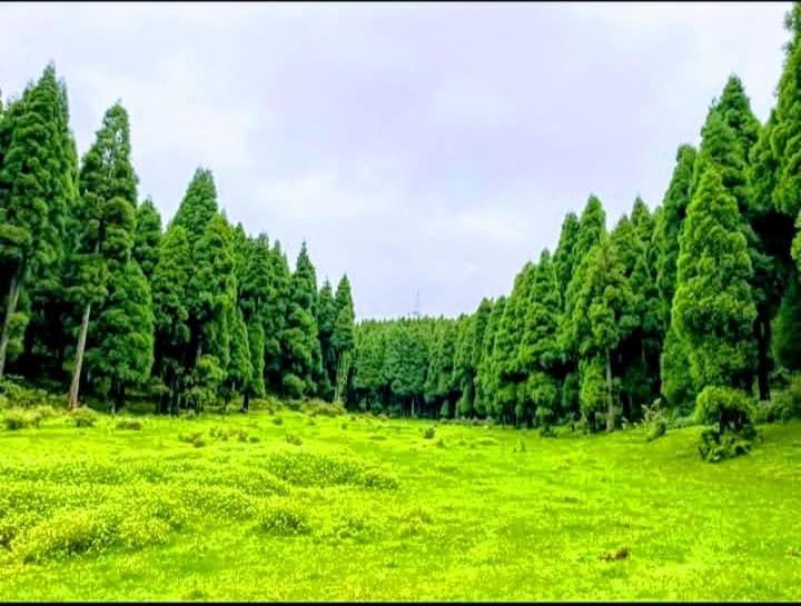Lama homestay House in West Bengal