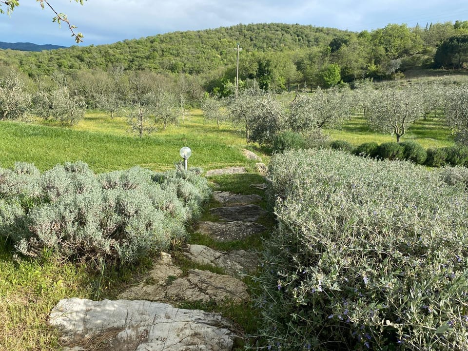 Garden, Garden view