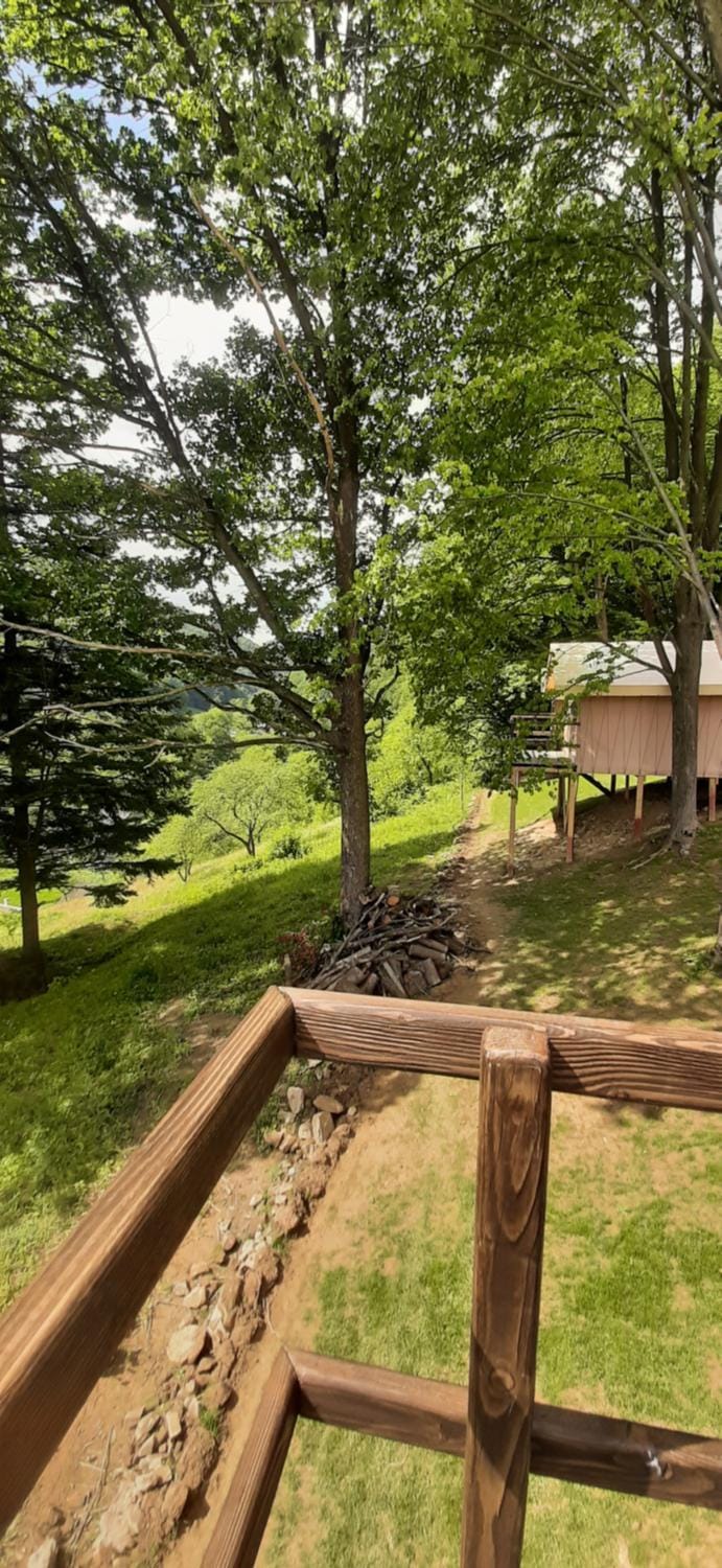Balcony/Terrace, Mountain view