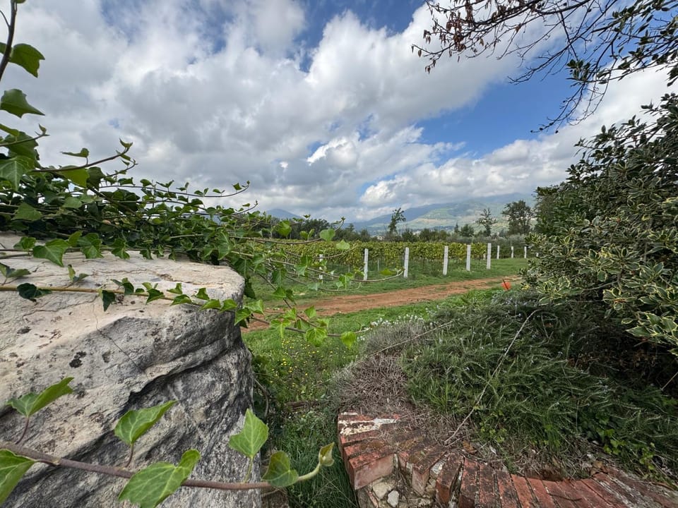 Natural landscape