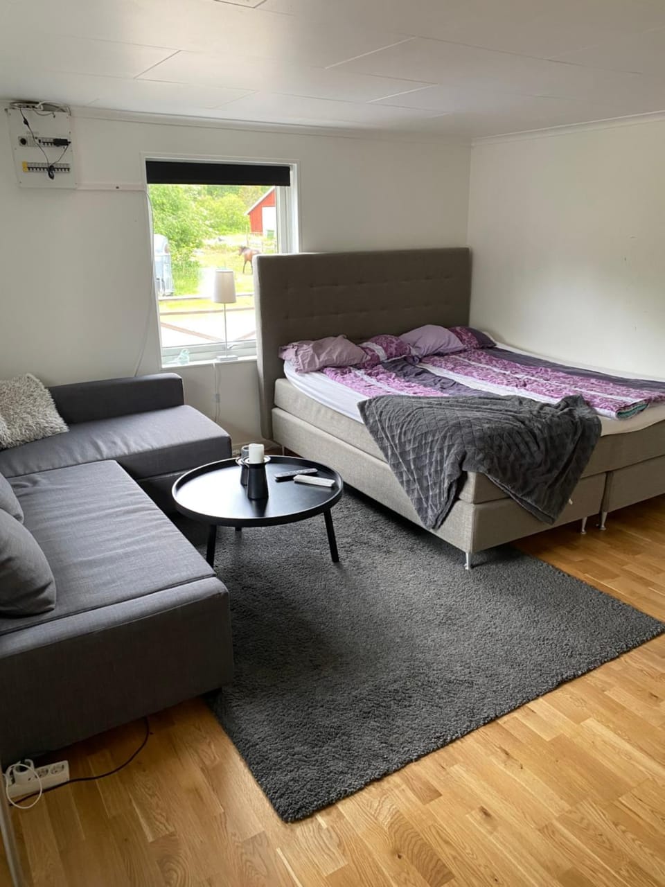 Living room, Bedroom