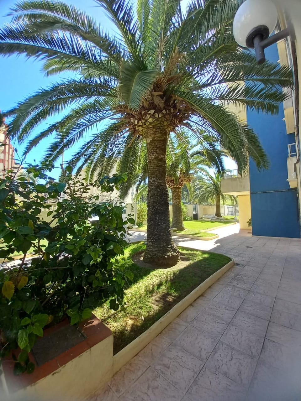 Garden view