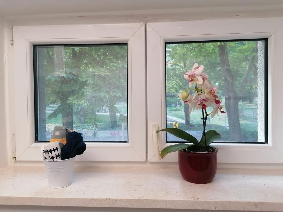 Garden view