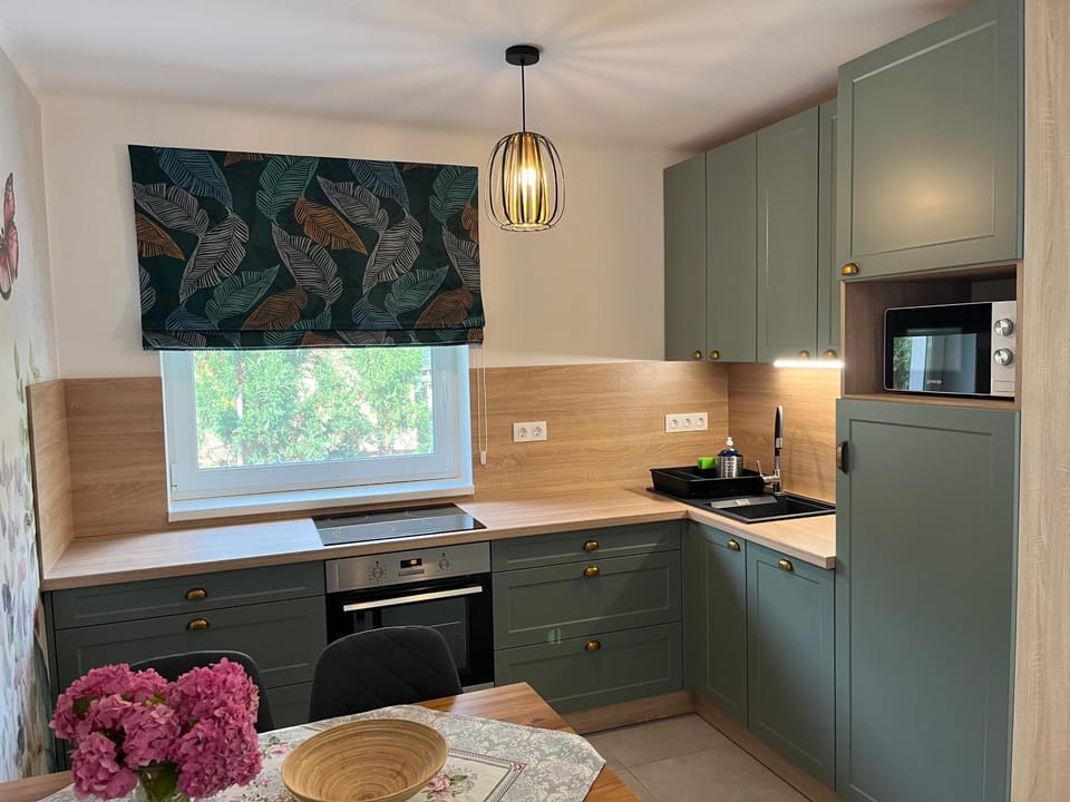 Kitchen or kitchenette, oven, stove
