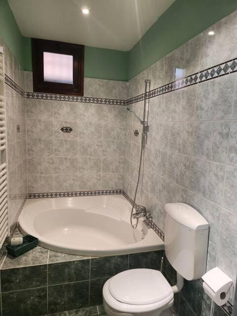 La home del melograno Apartment in Turin