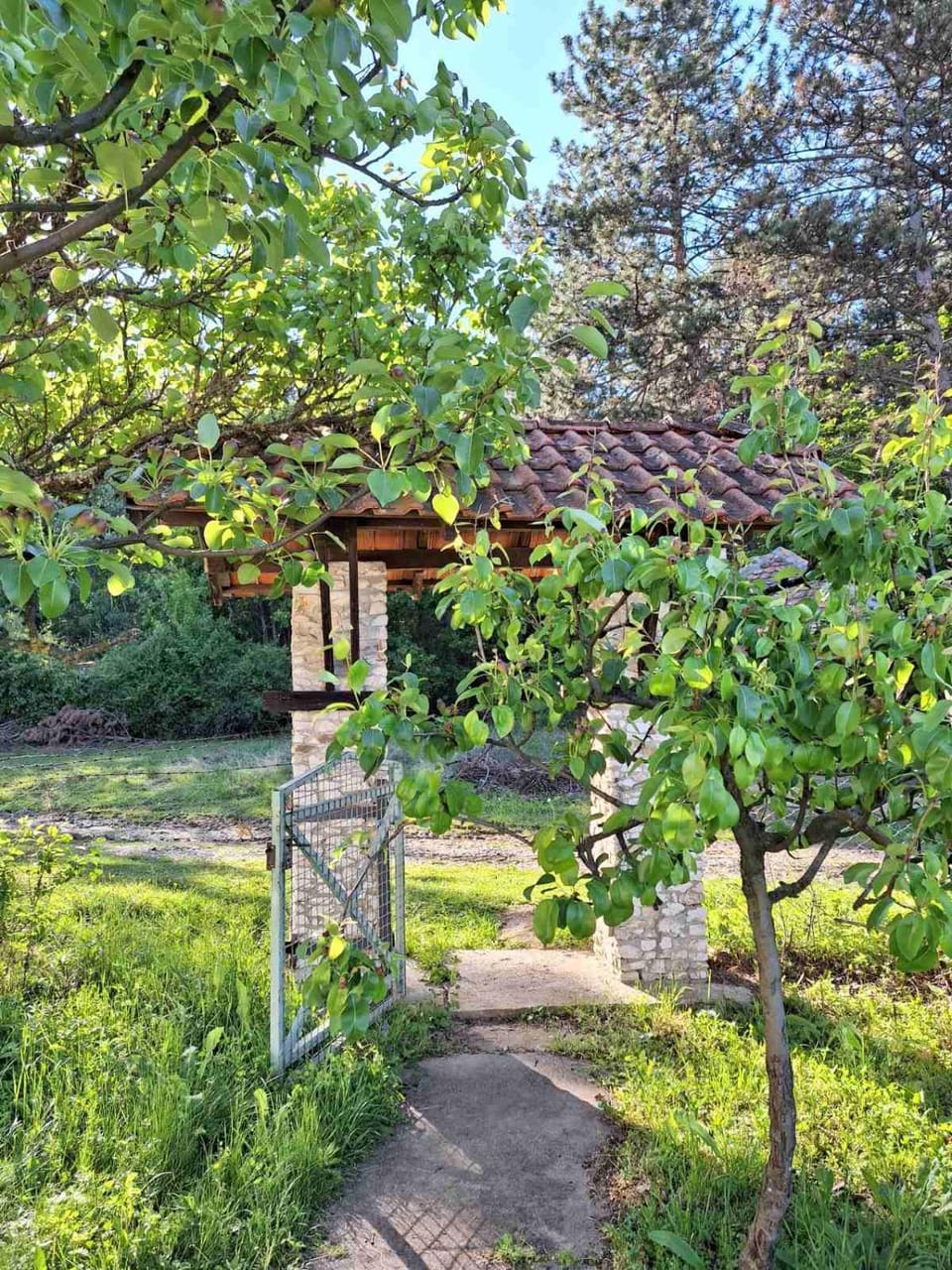 Spring, Day, Natural landscape, Garden, Garden view