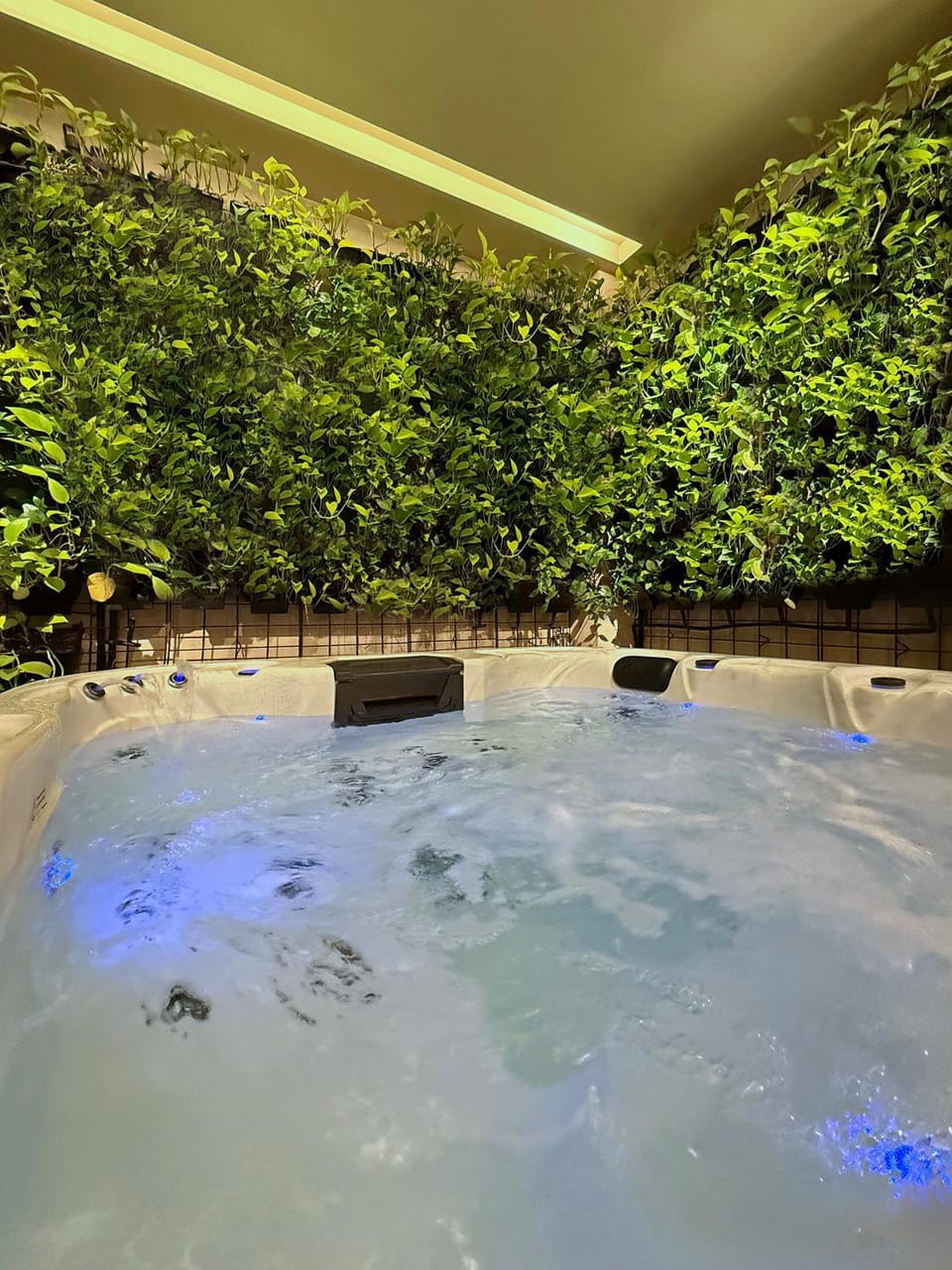Hot Tub, Spa and wellness centre/facilities, Spa and wellness centre/facilities, Spa and wellness centre/facilities