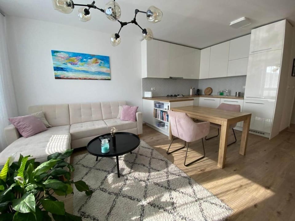 Kitchen or kitchenette, Living room, Seating area, Dining area, stove