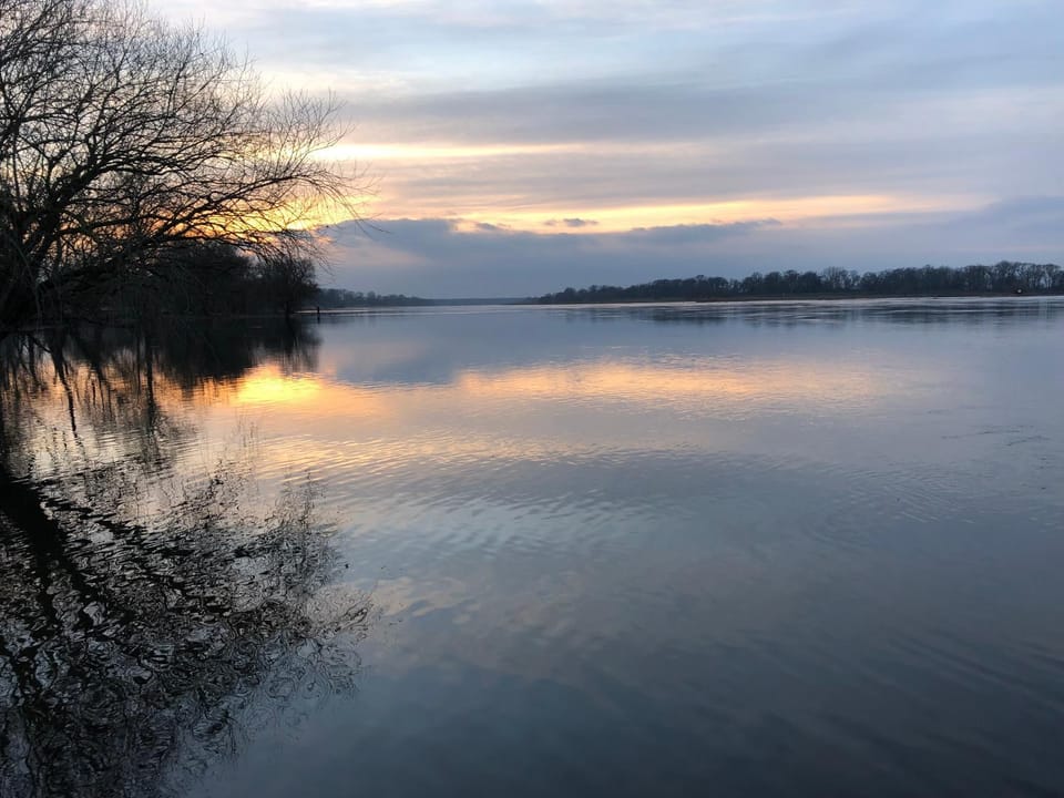 Lake view