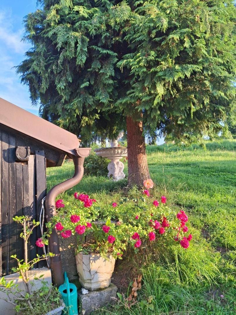 Garden, Garden
