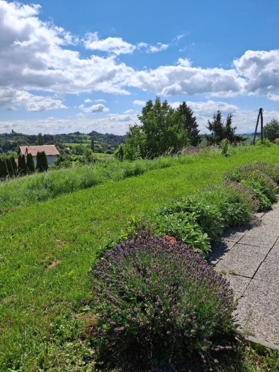 Natural landscape, Garden view