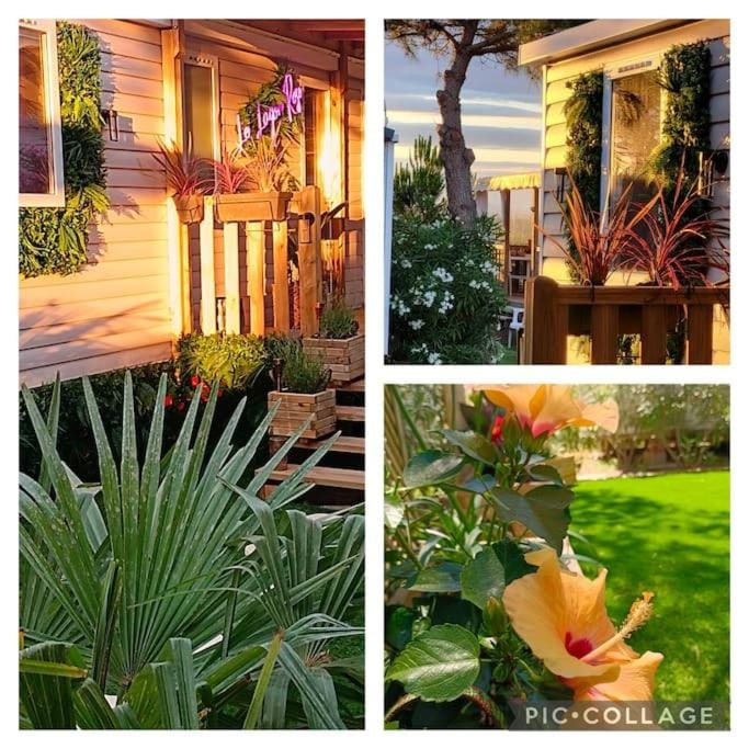 Le Lagon Rose nice bungalow Camping SIBLU le Mar Estang Canet-en-Roussillon, 2 rooms, 2 bathrooms, 2 TV, free WIFI, sheets & towels included, beach at 5 mn walk Campground/ 
RV Resort in Canet-en-Roussillon