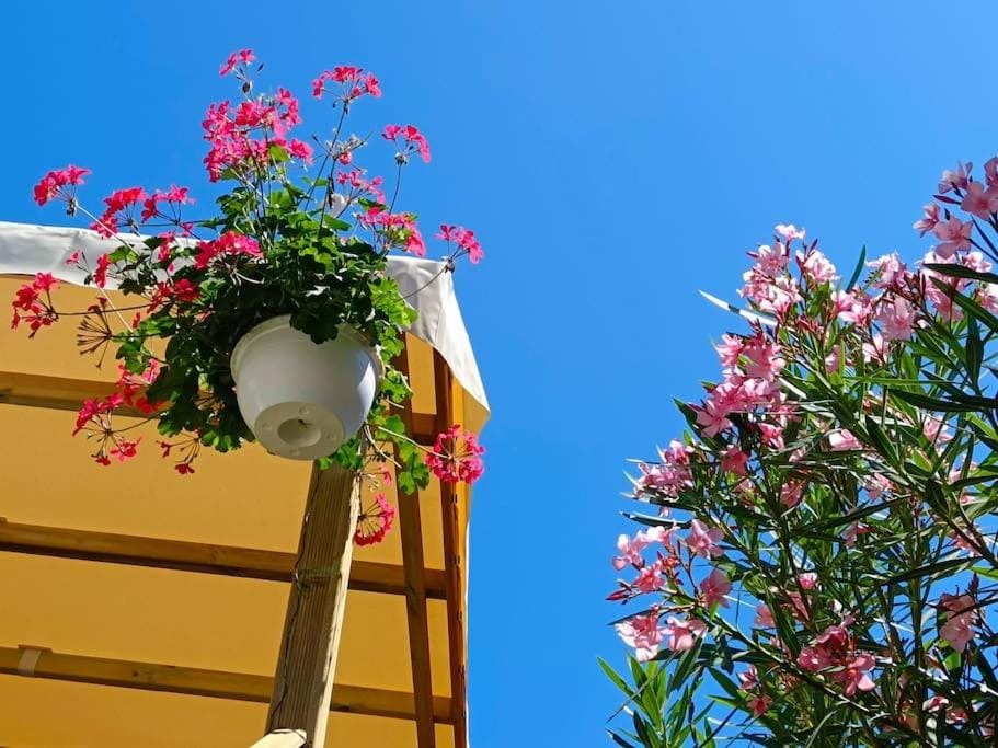 Le Lagon Rose nice bungalow Camping SIBLU le Mar Estang Canet-en-Roussillon, 2 rooms, 2 bathrooms, 2 TV, free WIFI, sheets & towels included, beach at 5 mn walk Campground/ 
RV Resort in Canet-en-Roussillon