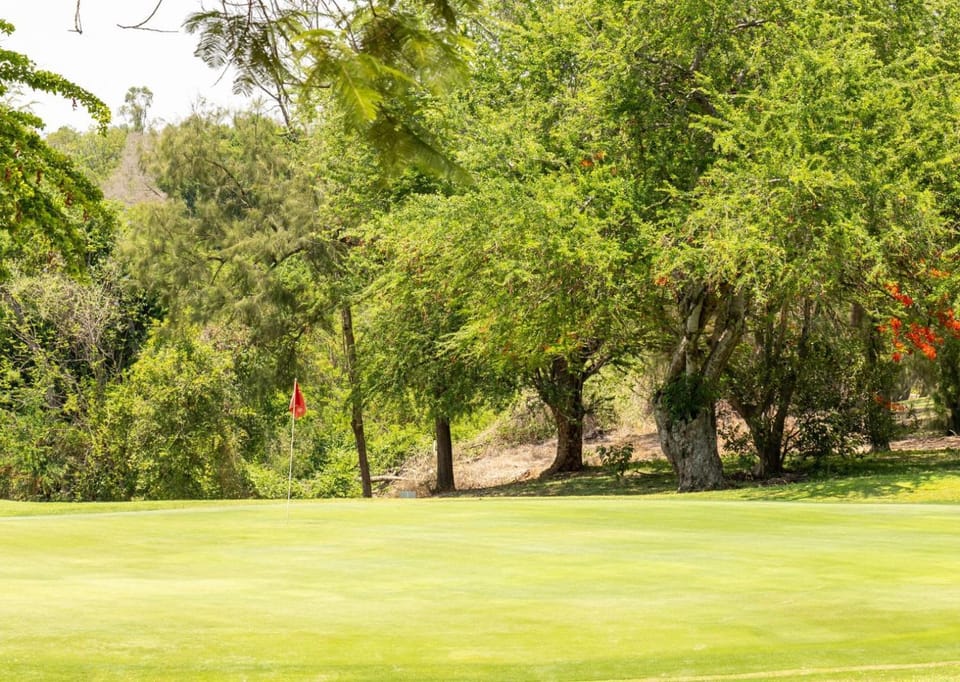 Golfcourse, Golfcourse