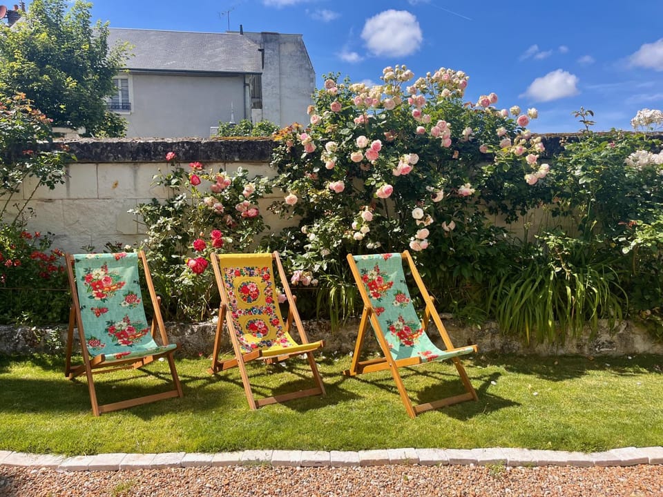 Spring, Summer, Garden, Garden view, Inner courtyard view, sunbed