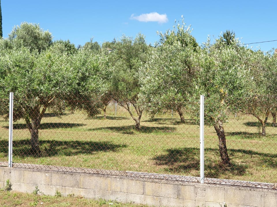 Garden, Garden view