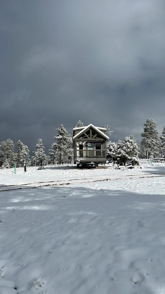 Cozy cabins by the forest 1B Cabin in Williams