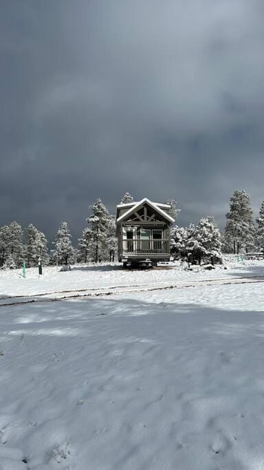 Cozy Cabins with a mountain view 1A Cabin in Williams