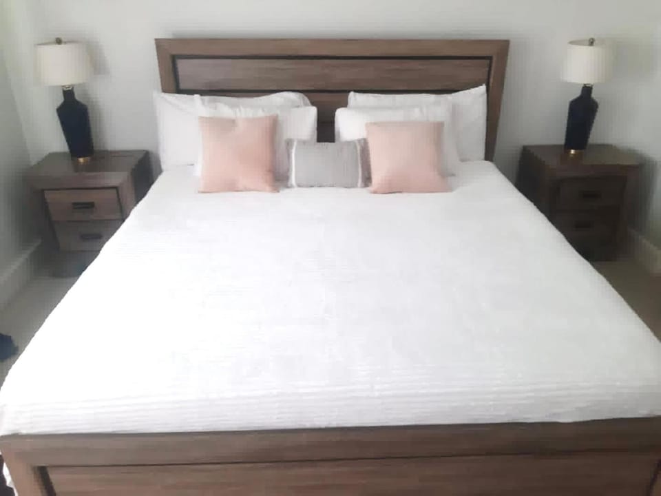 Tropical Bliss Haven Apartment in Kingston