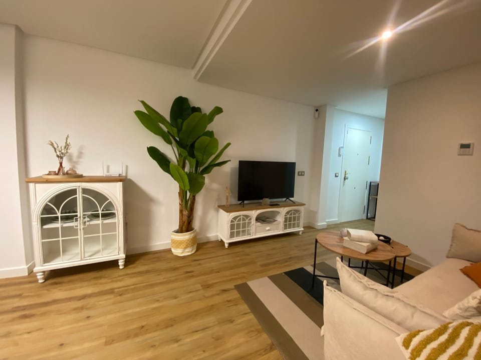 Game Room, TV and multimedia