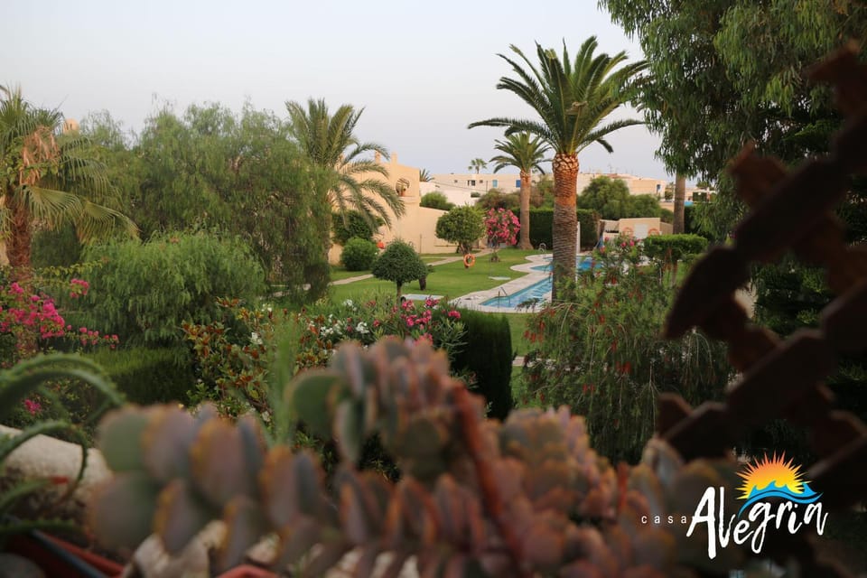Natural landscape, Garden, Garden, Garden view, Pool view, Swimming pool