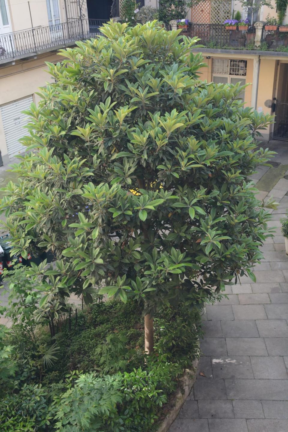 Regina 68 Apartment in Turin