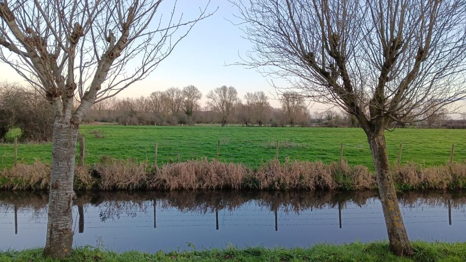 River view