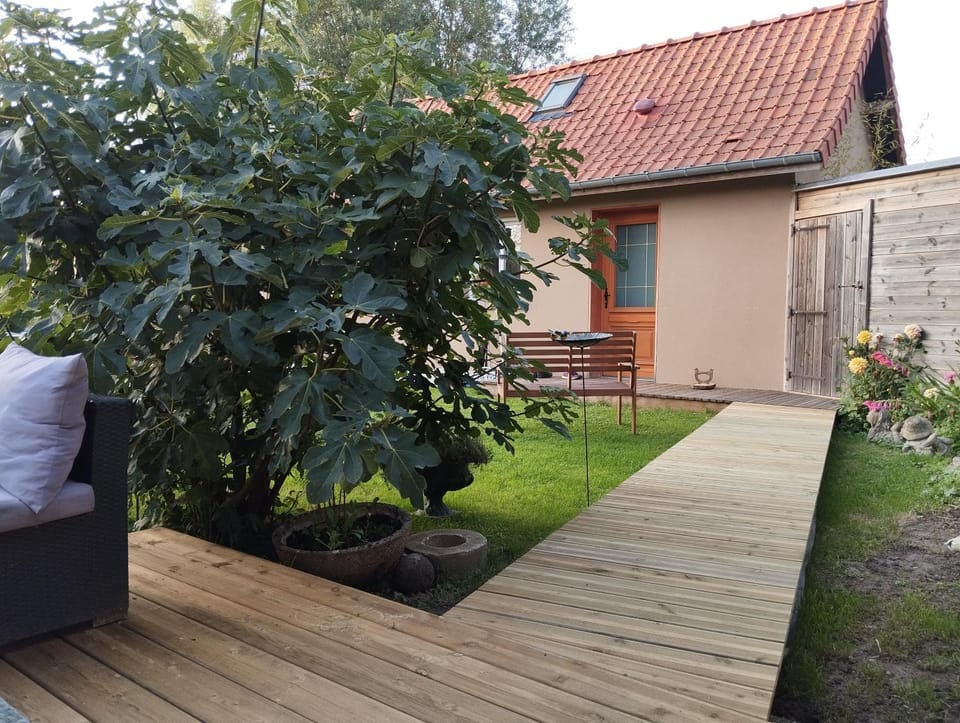 Garden view