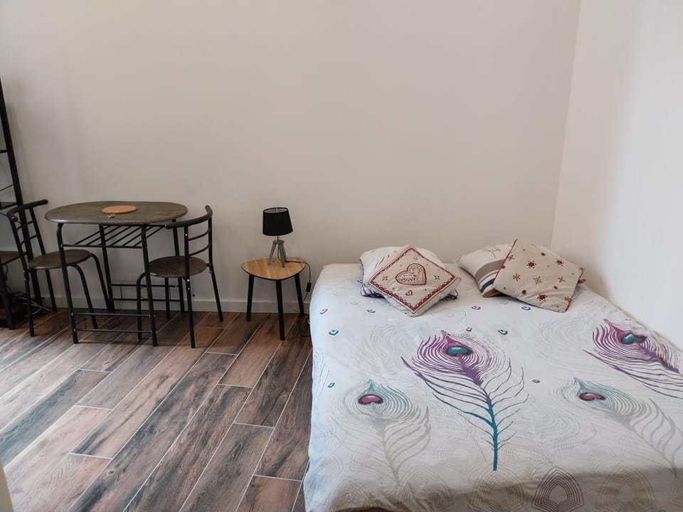 Studio hypercentre, refait à neuf Apartment in French Riviera