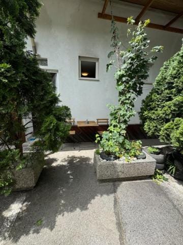 Property building, Garden view