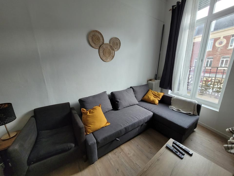 La Léonce, superbe appartement plein centre Apartment in Hauts-de-France