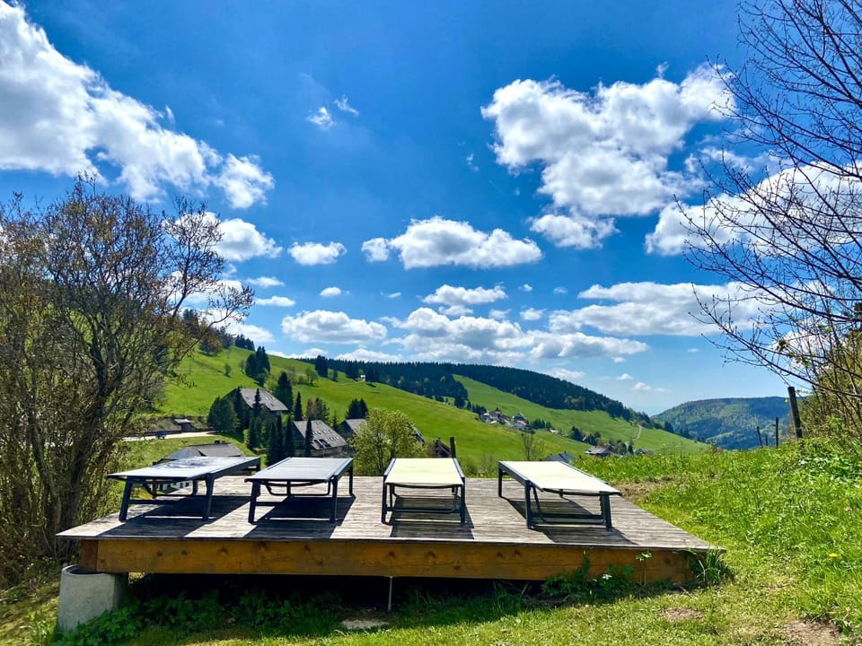 Berghof Almzeit - Fewo "Heuboden", Sauna , Todtnauberg, Feldberg Apartment in Baden-Württemberg
