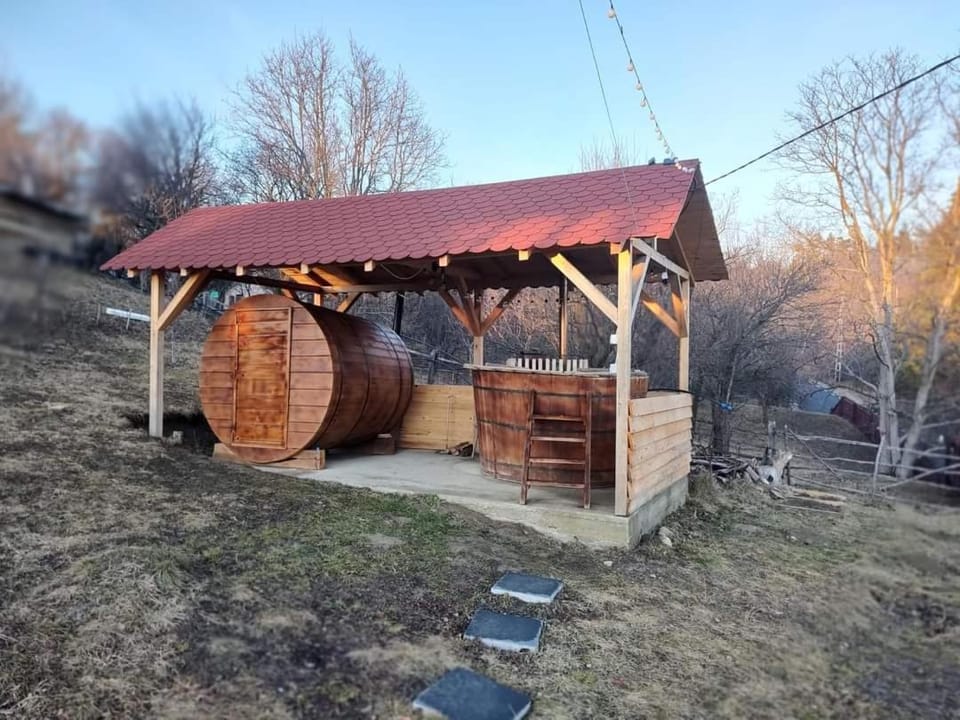 Cabana Măgura House in Moldova