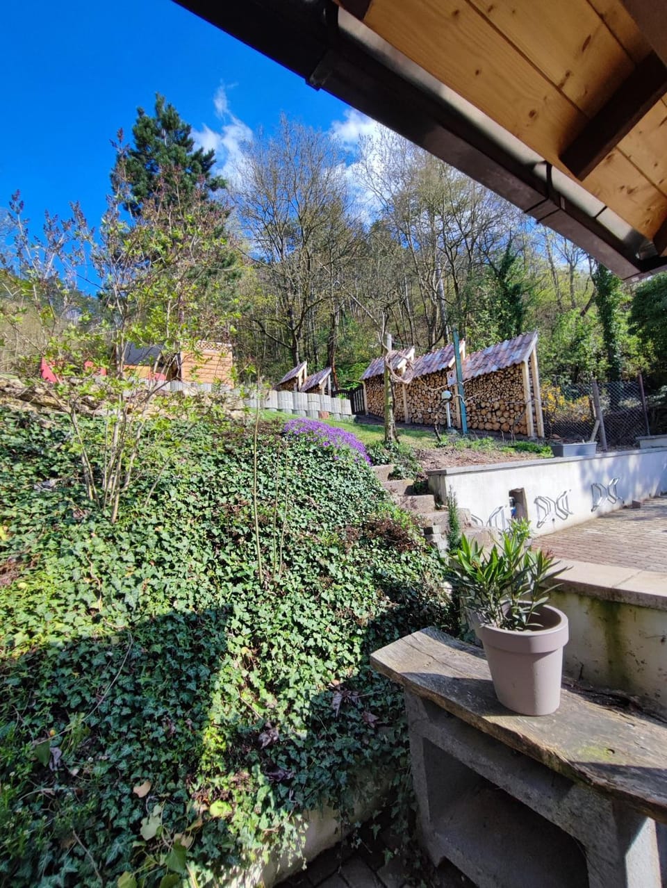 Garden view