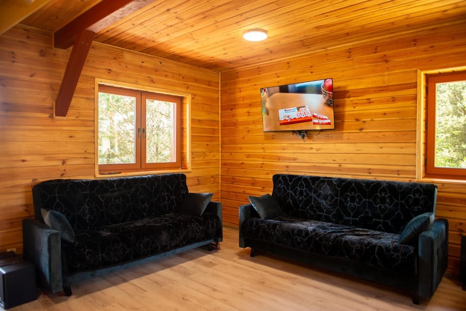 Communal lounge/ TV room, TV and multimedia, Living room, Seating area, Evening entertainment
