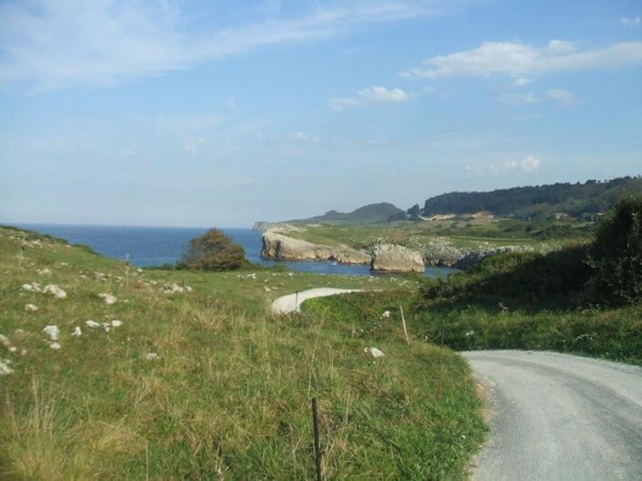 Natural landscape