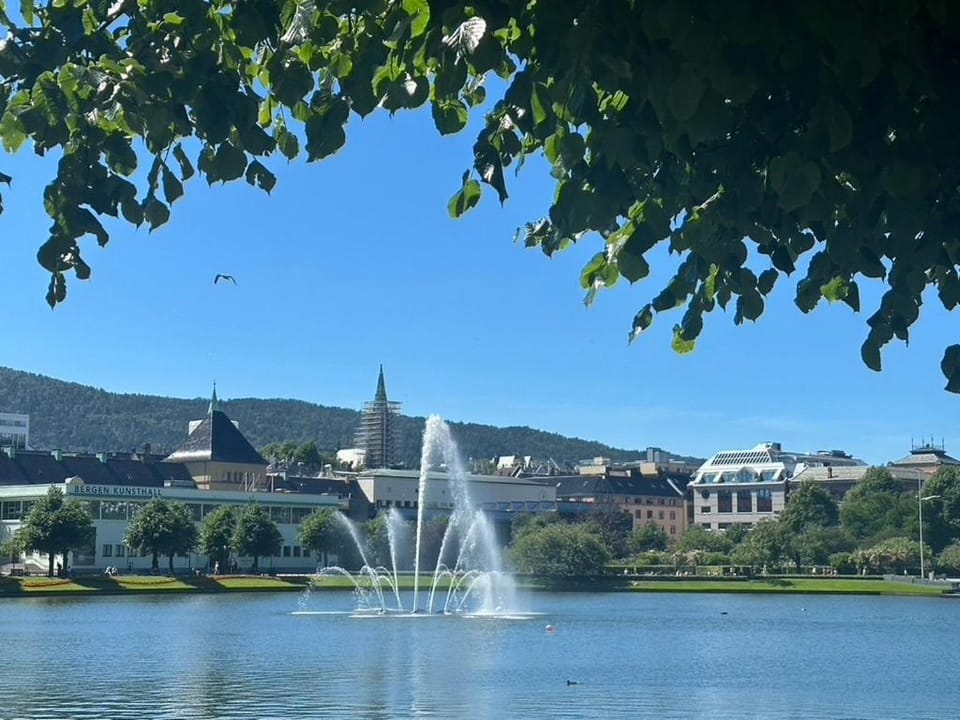 Lake view