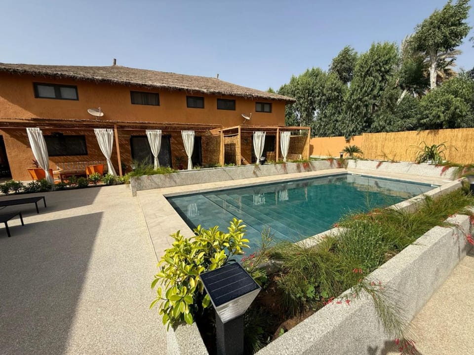 Garden, Garden view, Pool view, Swimming pool, sunbed