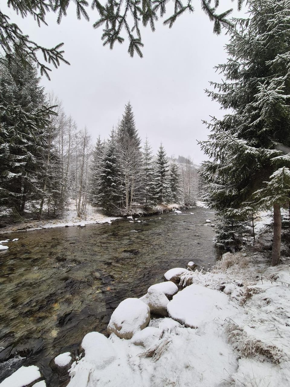 River view